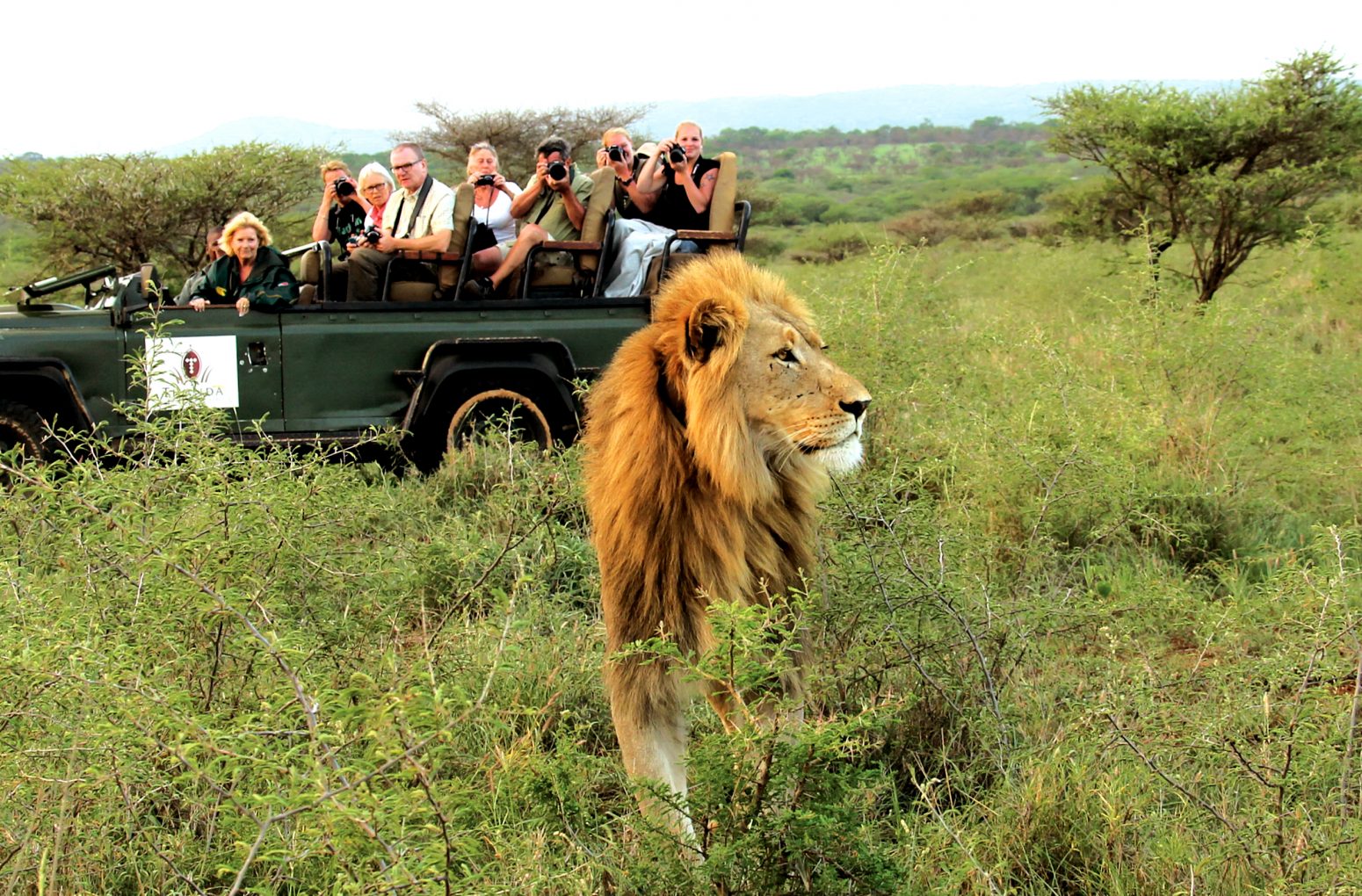 Safari Thanda